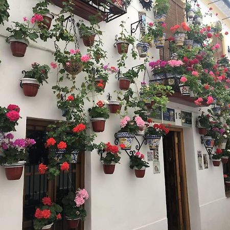 Apartamento Zoco Córdoba Eksteriør billede
