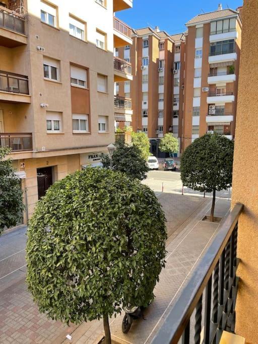 Apartamento Zoco Córdoba Eksteriør billede