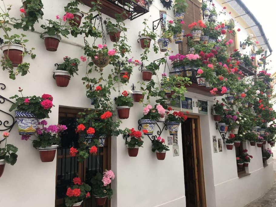 Apartamento Zoco Córdoba Eksteriør billede