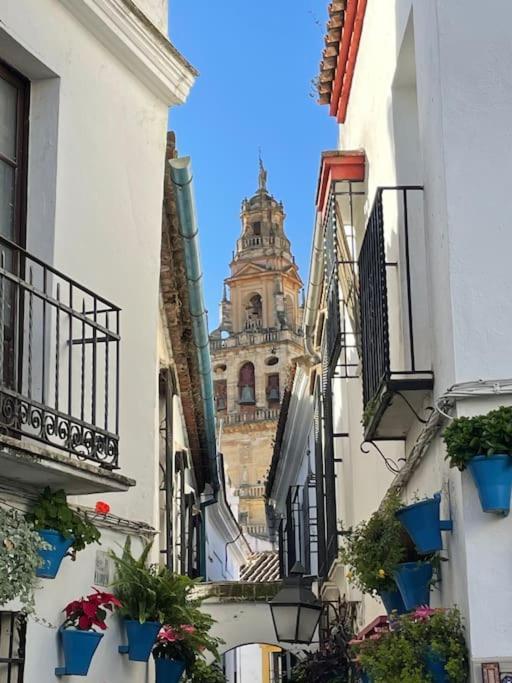 Apartamento Zoco Córdoba Eksteriør billede